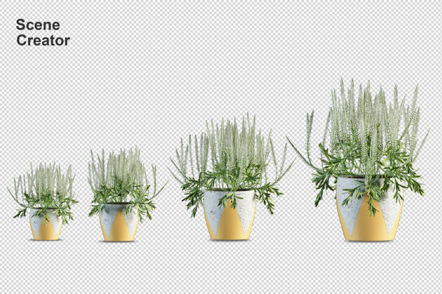 写实盆栽花卉在3d渲染隔离元素植物场景