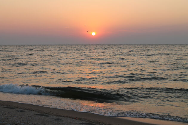 沙子美丽的日出在海上和野生大自然的全景天堂全景黄昏