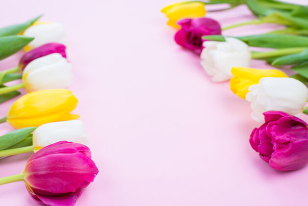 多你好春天修剪特写美丽的彩色郁金香与绿叶躺在粉彩背景孤立的照片花束最小惊喜