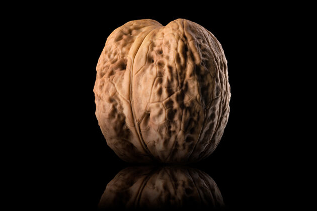 坚果整个胡桃木的微距照片 反射隔离在黑色背景上 带有剪辑路径榛子果壳自然