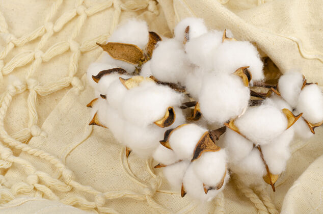 球棉布表面的干棉花织物桌布毛衣