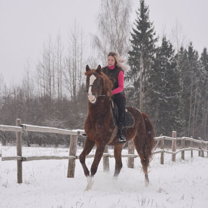 女孩一个可爱的女孩骑在一个冬天的背景马的照片马马术马背