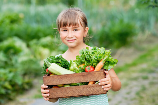 乡村小女孩手里拿着一篮子丰收的有机蔬菜和根茎上的有机生物农场.秋天蔬菜收获混合零生物