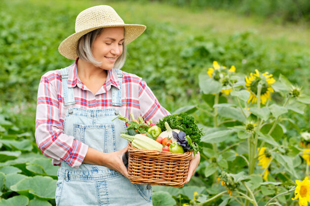 罗勒女人手里拿着一篮子丰收的有机蔬菜和根上的有机生物农场.秋天蔬菜收获采摘卷心菜蔬菜