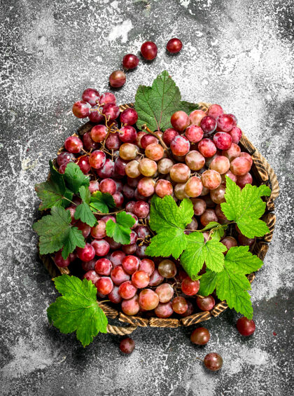 营养木托盘上的红葡萄浆果串多汁