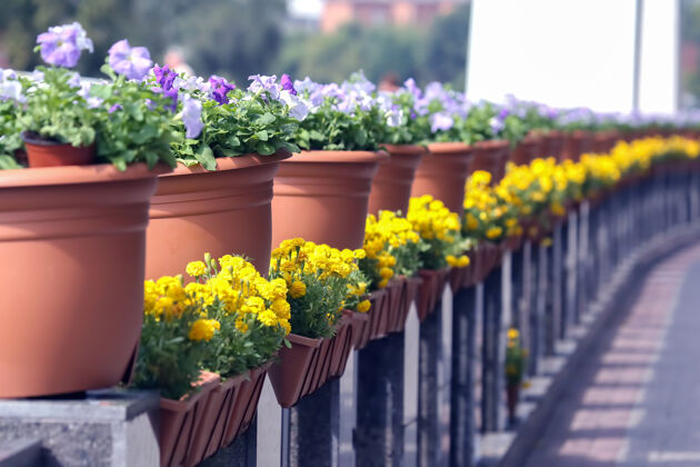 花卉装饰花篮沿着大理石栏杆篮子墙壁花卉