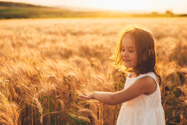 谷物一个可爱的小女孩在麦田里奔跑 抚摸着麦子 在夕阳下微笑跑步表达孩子