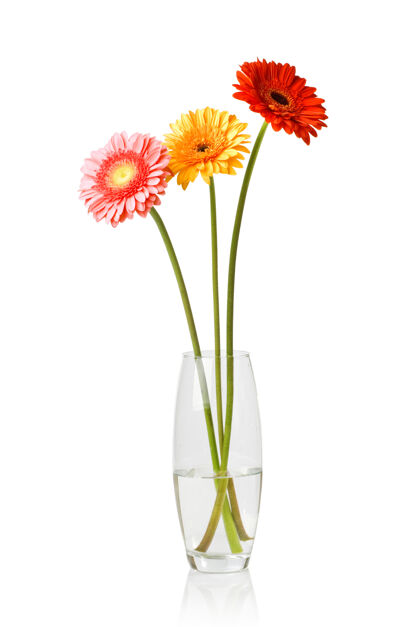 天从菊花非洲菊花束在玻璃花瓶隔离在白色头花束细节