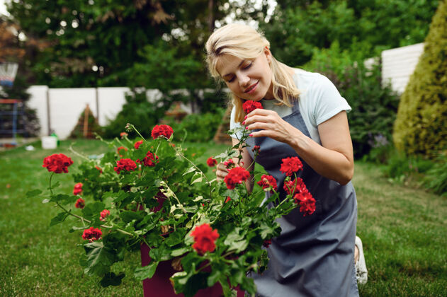 人围裙里的快乐女人在花园里闻花香花园女园丁照顾植物户外 园艺爱好 花店的生活方式和休闲花浇水工作