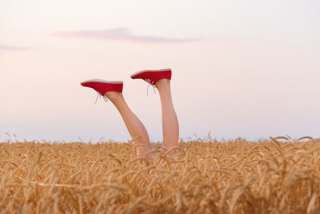 自由穿红色运动鞋的脚从麦子里伸出来场腿在田野和天空背景上运动鞋腿自然