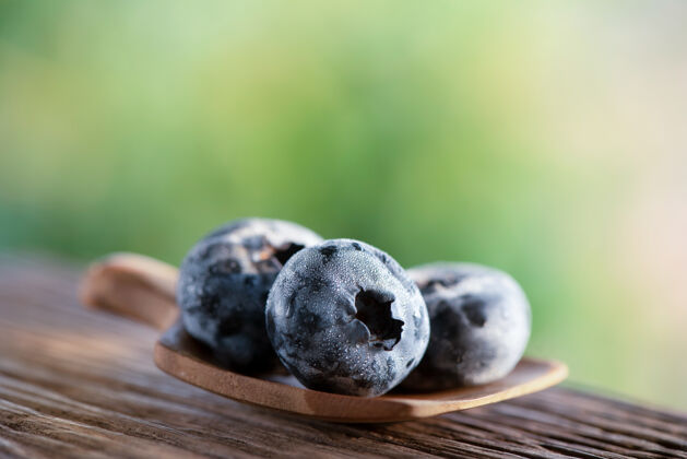 天然天然蓝莓或蓝藻类水果提取物药物蓝莓