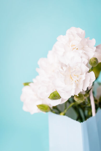 花在一个礼品袋惊人的白色康乃馨花温柔花束包