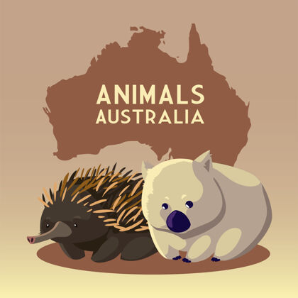 地图袋熊和刺猬澳大利亚大陆地图动物野生动物插图大陆自然哺乳动物