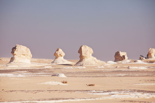 著名美丽的白垩形成在白色沙漠 埃及 非洲探索岩石沙漠