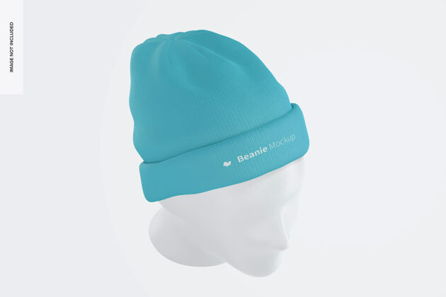 服装带头部模型顶视图的比尼冬天针织帽子
