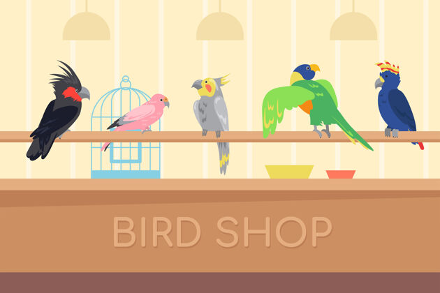 鹦鹉收集五彩鹦鹉在鸟类商店野生热带异国情调鸟为房子卡通插图羽毛翅膀国内