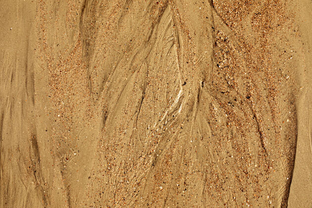 自然自然艺术特写与潮汐的方式和沙滩上的贝壳全框架纹理背景的沙子空特写满