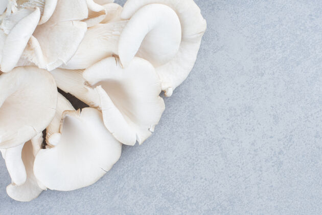 木头美味的有机牡蛎蘑菇特写照片自然新鲜营养