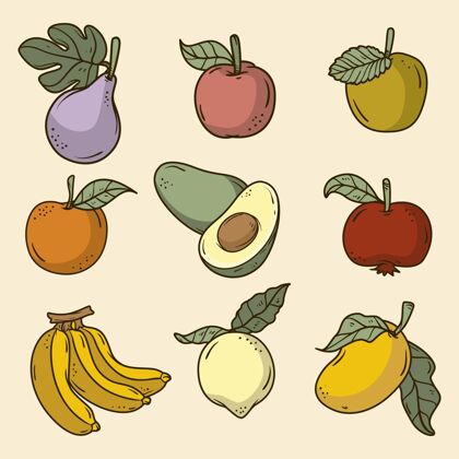食品手绘水果系列营养水果收藏手绘