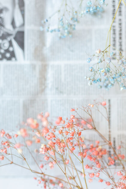 开花报纸表面的干花 选择性聚焦 春意盎然作物自然花卉