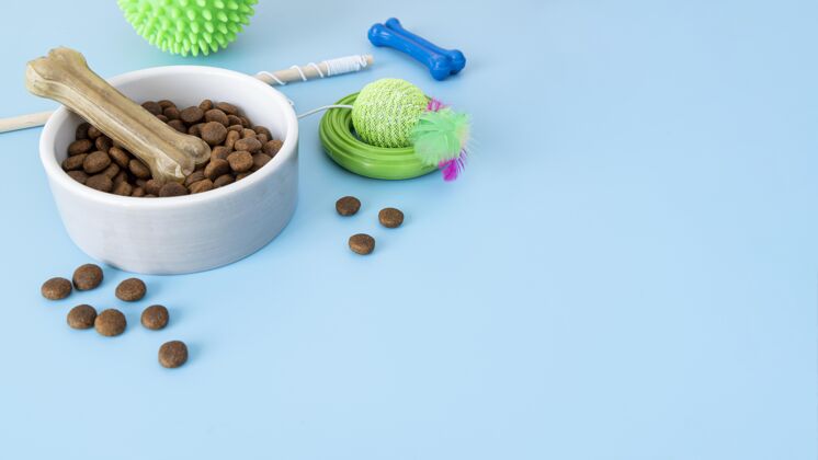 干食品特写食物碗和咀嚼玩具的形状的骨头宠物配件复制空间食品碗