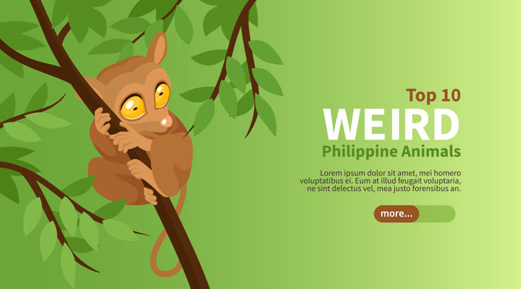 土地菲律宾旅游等轴测海报与顶部奇怪的动物插图封面传统当地