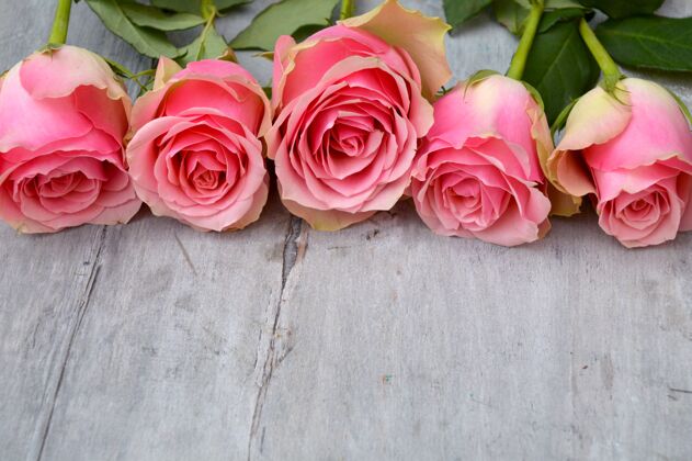 花朵木制表面上粉红色天鹅绒玫瑰的特写照片叶花朵玫瑰