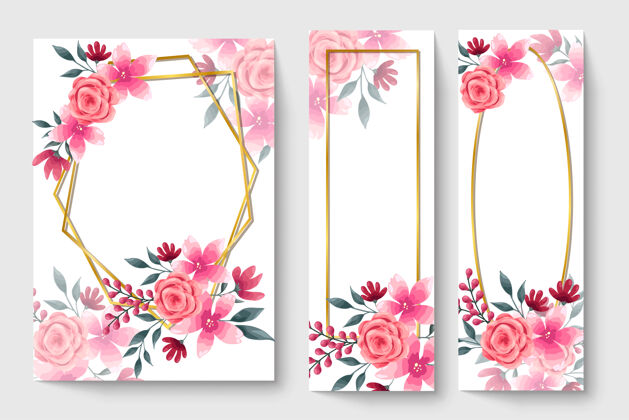 植物粉色花朵的植物卡片开花玫瑰自然