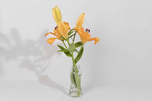 叶桌上花瓶里的花花开花花瓶
