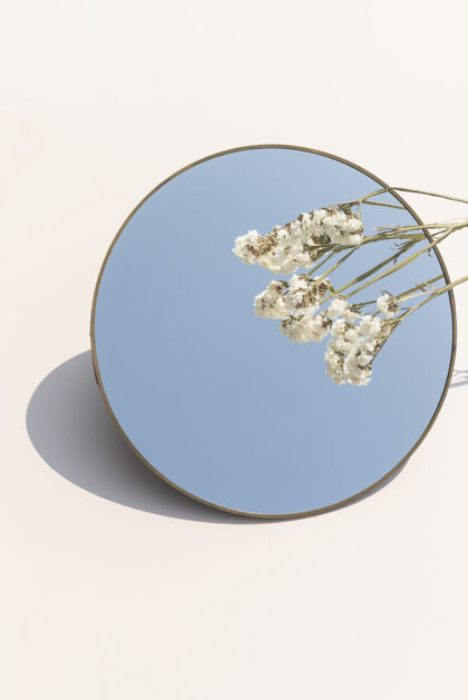 简单圆镜上的干白静花花反射开花