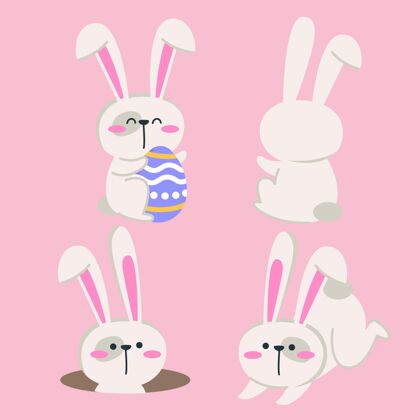 兔子复活节兔子系列收集复活节兔子分类