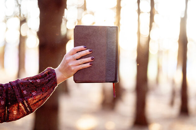 教育一只手拿着日记的女性的选择性聚焦镜头学习妇女阅读