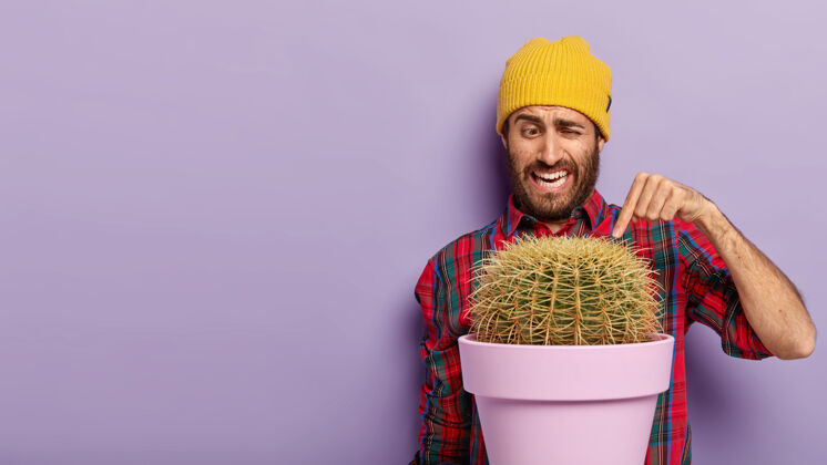 手指帅气的没刮胡子的男人用食指指着多刺的仙人掌 穿着休闲的格子衬衫 戴着黄色的帽子 在紫色的背景上摆姿势 用盆栽植物 复制文本的空间区域帽子立场植物