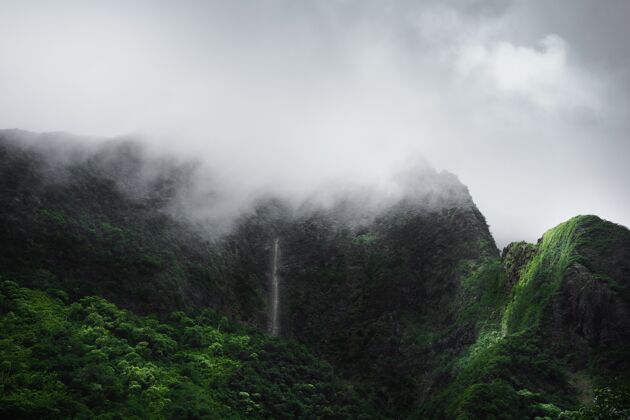 花大雾笼罩的山植物夏威夷天气