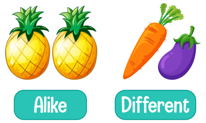 菠萝相反的词有相同的和不同的游戏语言学对象