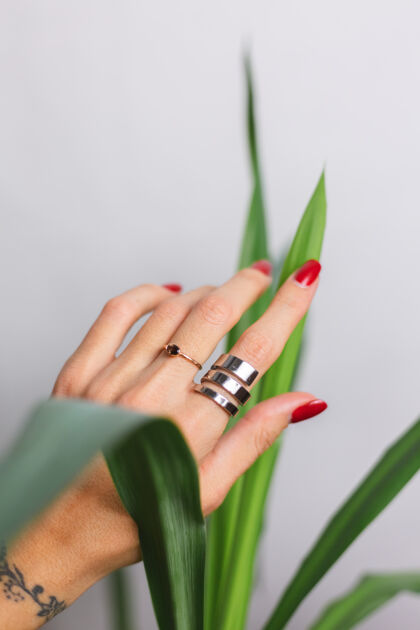 自然女人的手上有红色的指甲和两个指环 放在美丽的绿色棕榈叶上后面是灰色的墙姿势年轻明亮