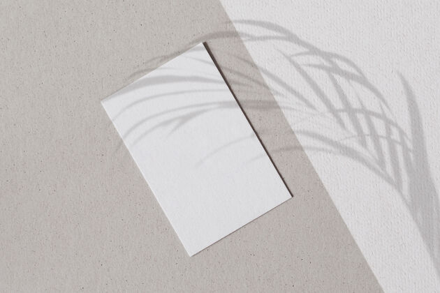 公告空白的白纸和棕榈叶的影子在一个双色调的墙上信息水泥剪影