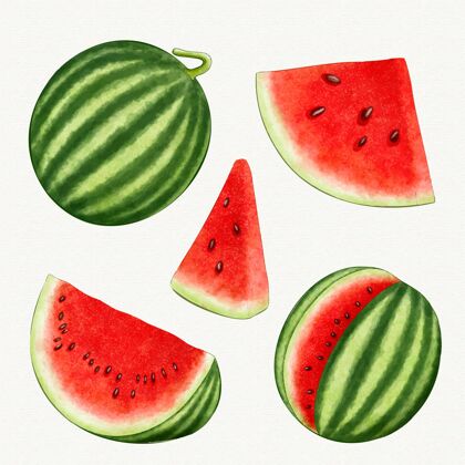 插图不同角度的西瓜水果维生素美味成熟