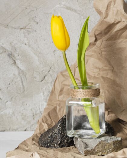 开花前视图黄色郁金香在一个透明的花瓶开花分类开花