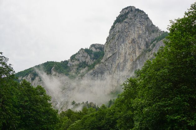 云低角度拍摄一座雾蒙蒙的岩石山 映衬着阴云密布的天空 前景下方是树木草风景水