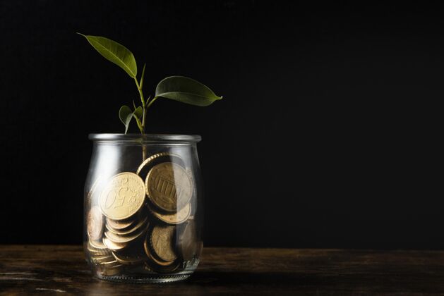 资金植物生长的正面图从罐子与硬币和复制空间货币植物金融