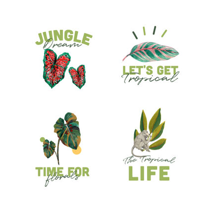 树叶标志设计与热带现代概念的品牌和营销水彩插图树叶花卉丛林