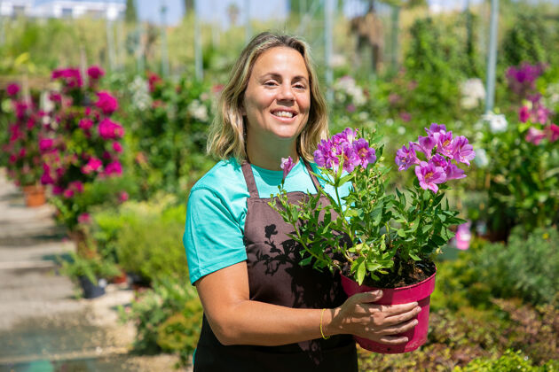 盆栽快乐的女花匠走在温室里 抱着盆栽植物微笑中镜头 复制空间园艺工作或植物学概念散步有机白种人