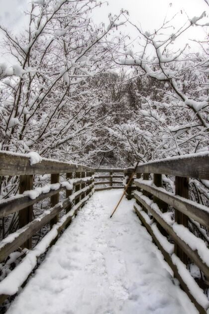 场景在冬天的雪树中间竖起一座木桥城镇景观宁静