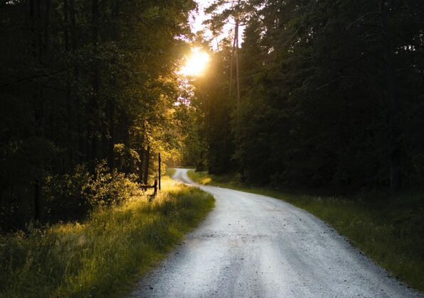 光穿过森林的一条窄路的惊险镜头自然草道路