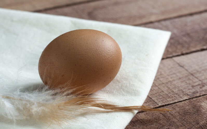 健康一个带羽毛的棕色鸡蛋放在一张白色餐巾上 放在一张木桌上农场食物蛋壳