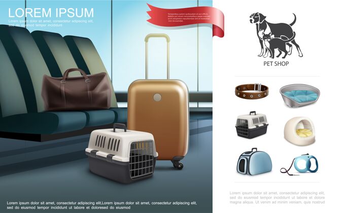 猫带宠物的真实旅行模板带项圈皮带包运输箱猫和狗的说明载体运输笼子机场