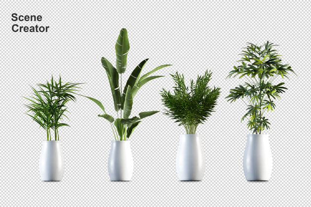 蔬菜盆栽植物在3d渲染隔离陶瓷花园花盆