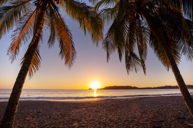 阳光哥斯达黎加美丽的热带太平洋海岸丛林哥斯达黎加全景