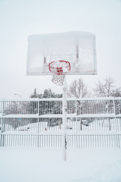 旅行户外冰冻篮球的垂直视图冰冻景观圣诞节